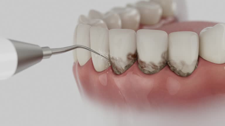 Reliable Dental contractor in St. Helen, MI by Dentist Open Now
